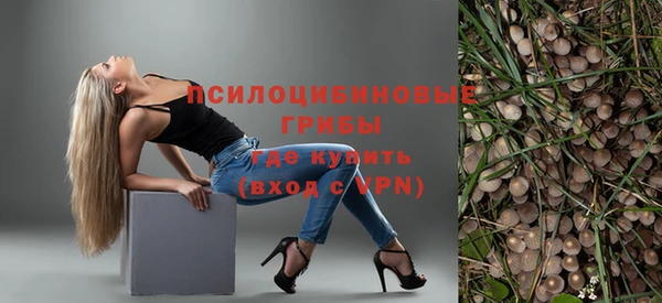 индика Лагань