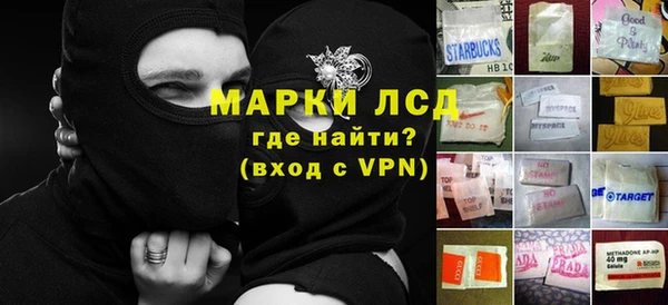 индика Лагань