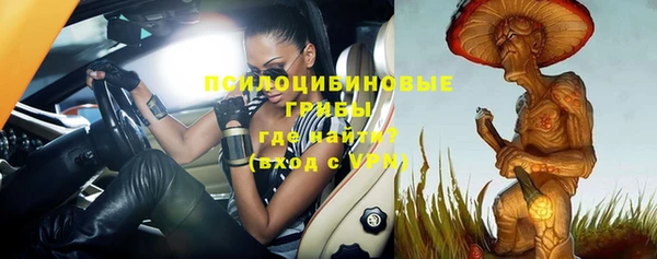 ешки Лабытнанги