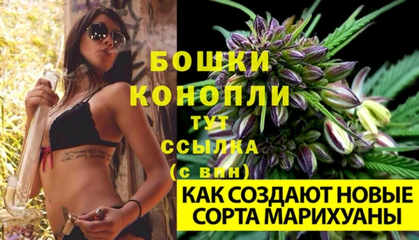 индика Лагань