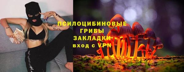индика Лагань